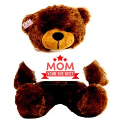 2 feet brown teddy bear wearing MOM Your the best T-shirt